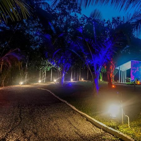 Little Ele Safari Lodge Udawalawe Bagian luar foto