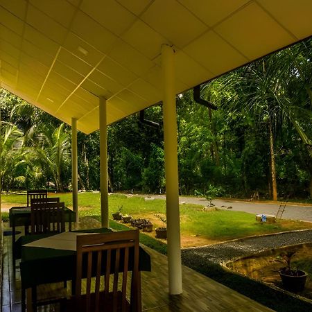 Little Ele Safari Lodge Udawalawe Bagian luar foto