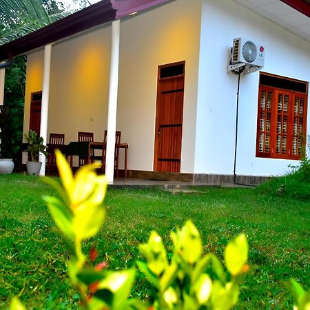 Little Ele Safari Lodge Udawalawe Bagian luar foto