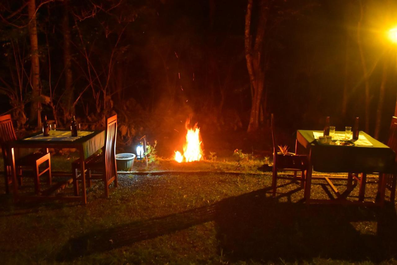 Little Ele Safari Lodge Udawalawe Bagian luar foto