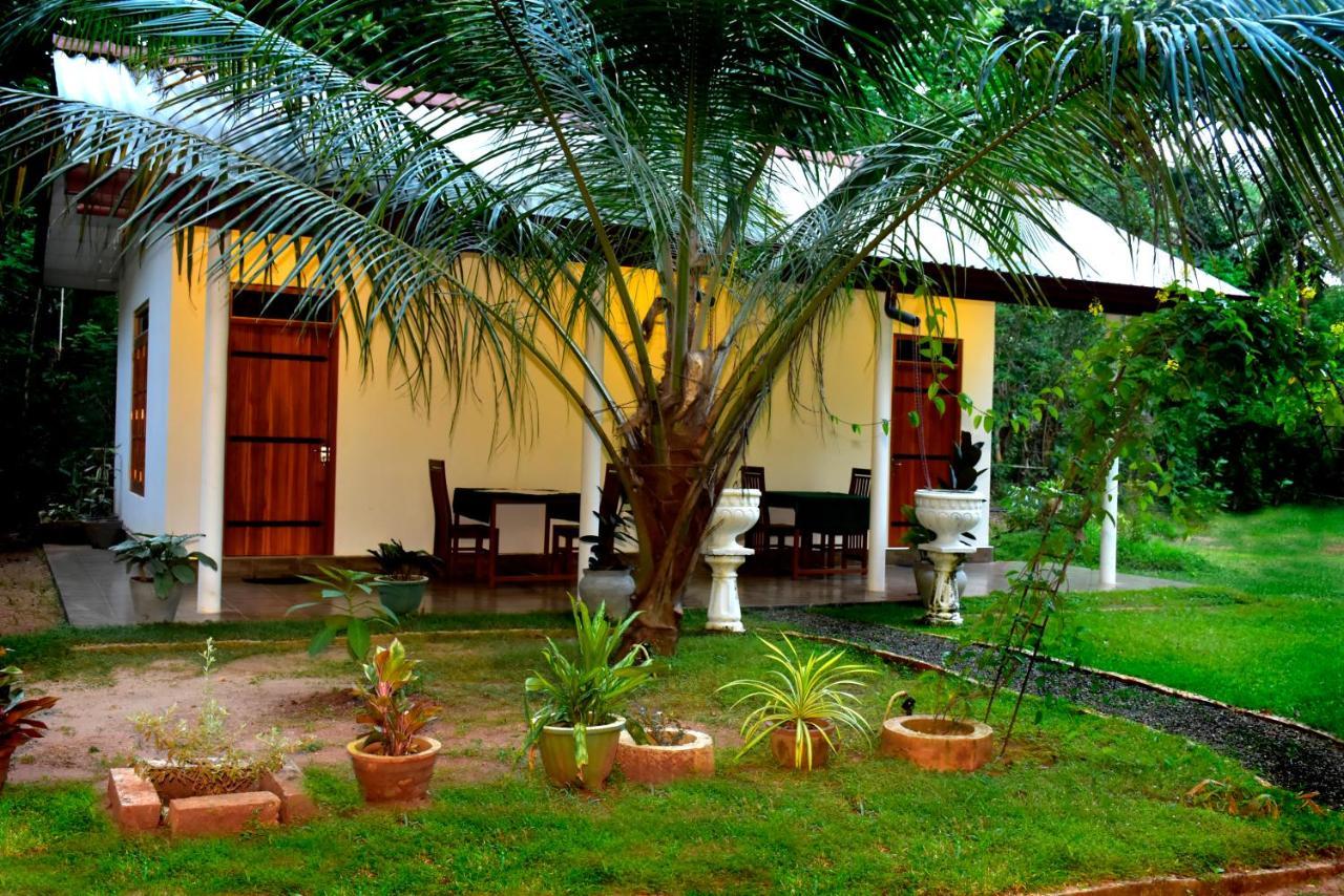 Little Ele Safari Lodge Udawalawe Bagian luar foto