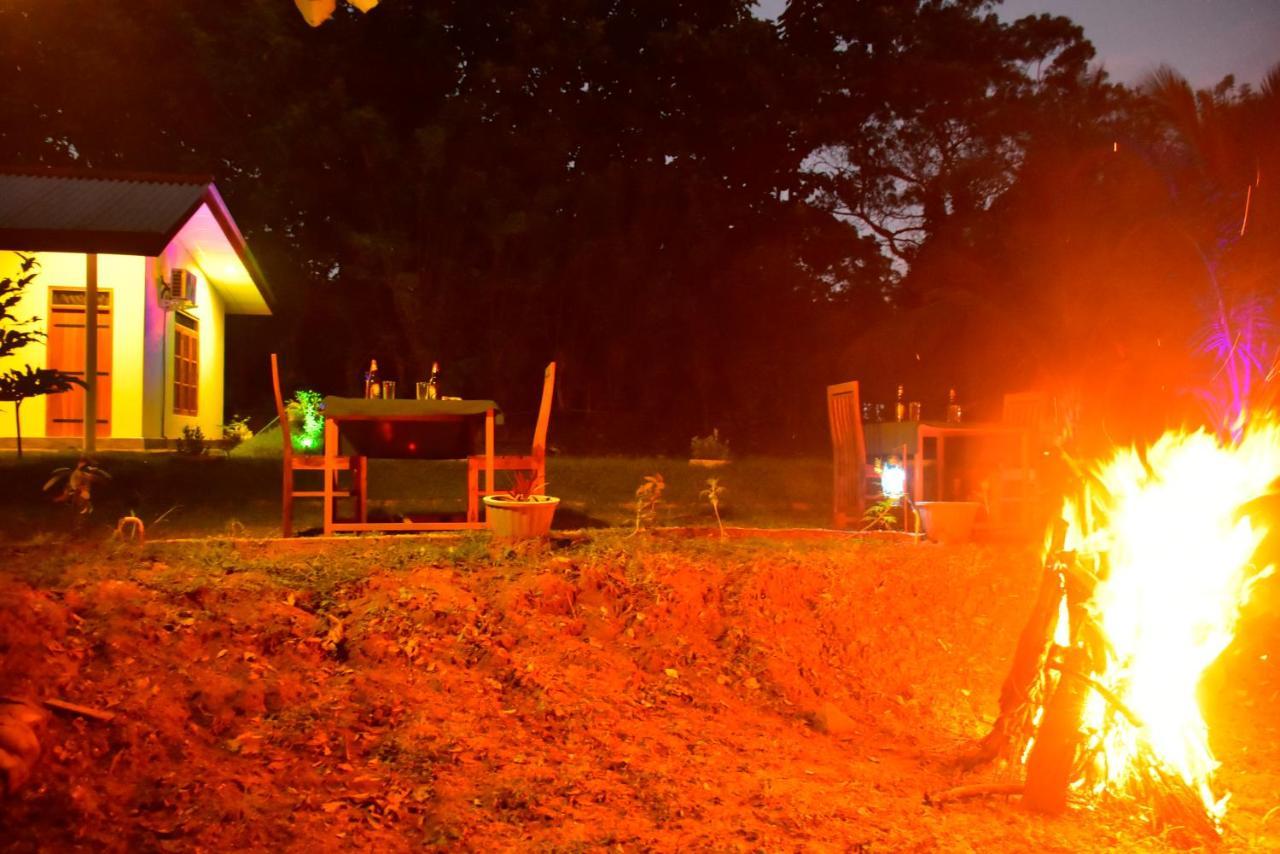 Little Ele Safari Lodge Udawalawe Bagian luar foto